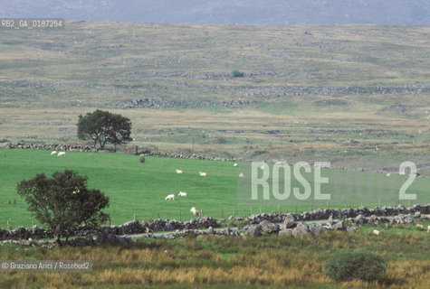 ( GRAN BRETAGNA  )  THE SNOWDONIA NATIONAL PARK    © 1990 Graziano Arici/Rosebud2 / GEO / GALLES / PARCO