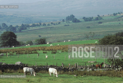 ( GRAN BRETAGNA  )  THE SNOWDONIA NATIONAL PARK    © 1990 Graziano Arici/Rosebud2 / GEO / GALLES / PARCO