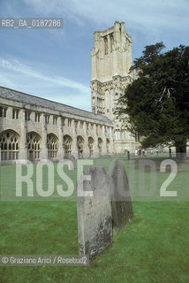 ( GRAN BRETAGNA  )  WELLS : LA CATTEDRALE    © 1990 Graziano Arici/Rosebud2 / GEO / SOMERSET / ARCHITETTURA GOTICA CIMITERO