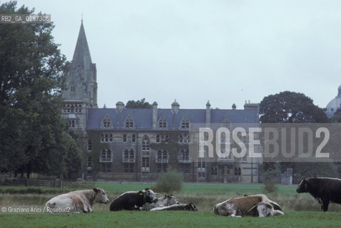 ( GRAN BRETAGNA  )  OXFORD  :  IL CHRIST CHURCH COLLEGE    © 1990 Graziano Arici/Rosebud2 / GEO / UNIVERSITA