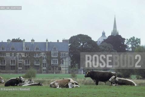 ( GRAN BRETAGNA  )  OXFORD  :  IL CHRIST CHURCH COLLEGE    © 1990 Graziano Arici/Rosebud2 / GEO / UNIVERSITA
