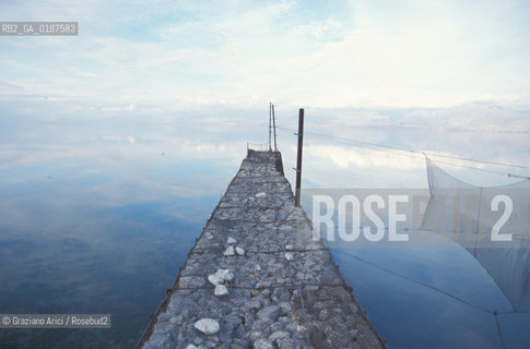 ( ALBANIA  ) SCUTARI : IL LAGO © 2002 Graziano Arici/Rosebud2 / GEO