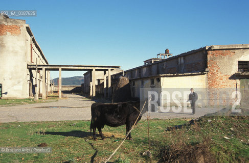 ( ALBANIA  ) SCUTARI : UNA FABBRICA ABBANDONATA  © 2002 Graziano Arici/Rosebud2 / GEO