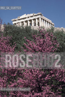 ( GRECIA  ) ATENE : ACROPOLI E PARTENONE  - © 1990 Graziano Arici/Rosebud2 / GEO / TEMPIO DI ATENA