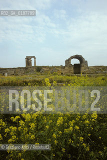 ( GRECIA  ) CORINTO : TEMPIO DI APOLLO E ROVINE  - © 1990 Graziano Arici/Rosebud2 / GEO / PELOPPONESO GIALLO