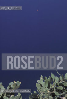 ( GRECIA  ) NAUPLIA : MARE  - © 1990 Graziano Arici/Rosebud2 / GEO / PELOPPONESO / ARGOLIDE /