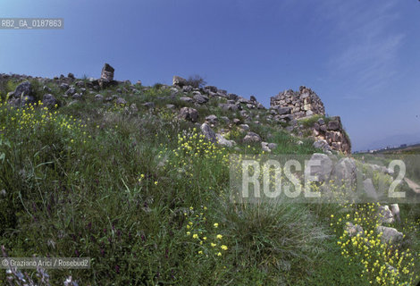 ( GRECIA  ) TIRINTO : ACROPOLI  - © 1990 Graziano Arici/Rosebud2 / GEO / PELOPPONESO / ARGOLIDE / MURA CICLOPICHE