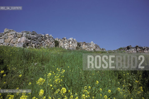 ( GRECIA  ) TIRINTO : ACROPOLI  - © 1990 Graziano Arici/Rosebud2 / GEO / PELOPPONESO / ARGOLIDE / MURA CICLOPICHE
