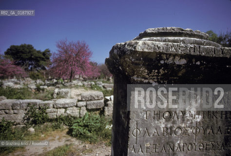 ( GRECIA  ) OLIMPIA : ROVINE DEL TEMPIO DI ZEUS  - © 1990 Graziano Arici/Rosebud2 / GEO / PELOPPONESO / ELIDE / STATUE VOTIVE