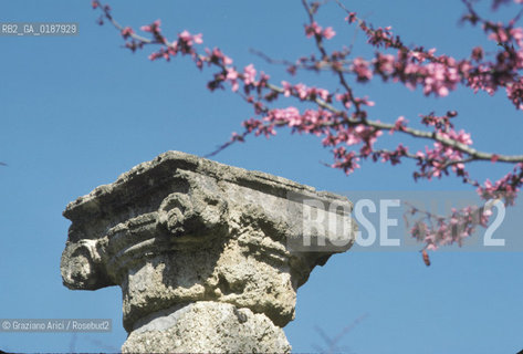 ( GRECIA  ) OLIMPIA : CAPITELLO  - © 1990 Graziano Arici/Rosebud2 / GEO / PELOPPONESO / ELIDE