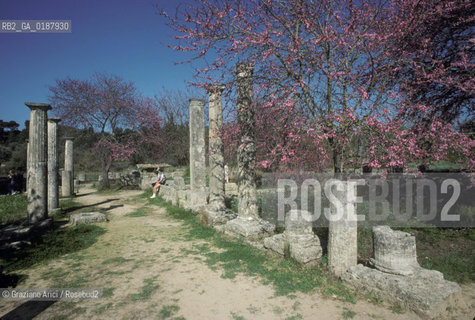 ( GRECIA  ) OLIMPIA : IL SITO ARCHEOLOGICO  - © 1990 Graziano Arici/Rosebud2 / GEO / PELOPPONESO / ELIDE