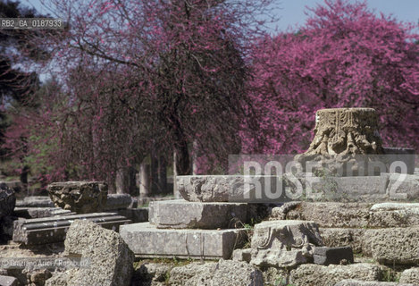 ( GRECIA  ) OLIMPIA : ROVINE DEL TEMPIO DI ZEUS  - © 1990 Graziano Arici/Rosebud2 / GEO / PELOPPONESO / ELIDE