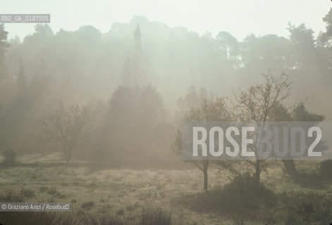 ( GRECIA  ) OLIMPIA : NEBBIA  - © 1990 Graziano Arici/Rosebud2 / GEO / PELOPPONESO / ELIDE