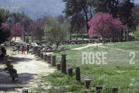 ( GRECIA  ) OLIMPIA : ROVINE   - © 1990 Graziano Arici/Rosebud2 / GEO / PELOPPONESO / ELIDE