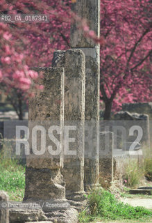 ( GRECIA  ) OLIMPIA : ROVINE DELLA PALESTRA  - © 1990 Graziano Arici/Rosebud2 / GEO / PELOPPONESO / ELIDE