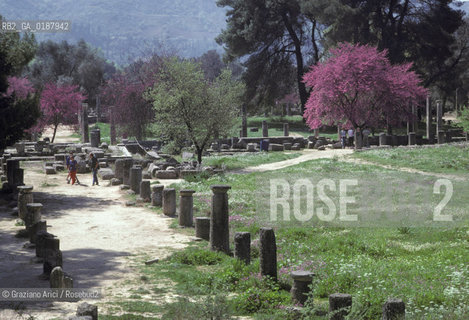 ( GRECIA  ) OLIMPIA : PORTICO DECHO  - © 1990 Graziano Arici/Rosebud2 / GEO / PELOPPONESO / ELIDE