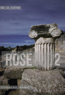 ( GRECIA  ) DELFI : LA VIA SACRA  © 1990 Graziano Arici/Rosebud2 / GEO / FOCIDE /