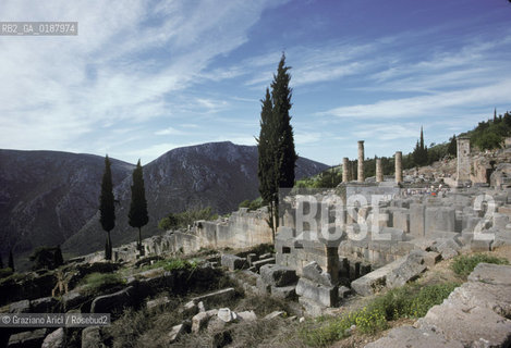 ( GRECIA  ) DELFI : LA VIA SACRA  © 1990 Graziano Arici/Rosebud2 / GEO / FOCIDE