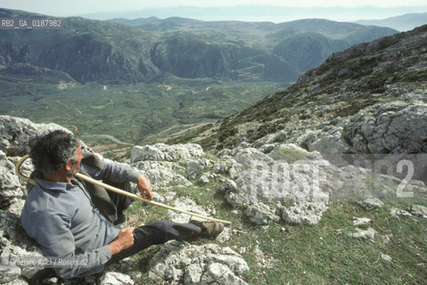 ( GRECIA  ) DELFI : PASTORE NEL MASSICCIO DEL MONTE PARNASO  © 1990 Graziano Arici/Rosebud2 / GEO / FOCIDE /