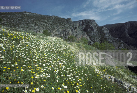 ( GRECIA  ) DELFI : IL MONTE PARNASO  © 1990 Graziano Arici/Rosebud2 / GEO / FOCIDE