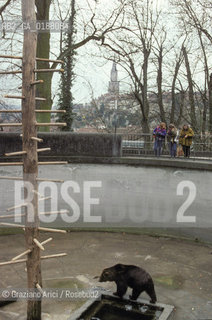 ( SVIZZERA CONFEDERAZIONE ELVETICA  ) BERNA : LA FOSSA DELLORSO © 1995 Graziano Arici/Rosebud2 / GEO