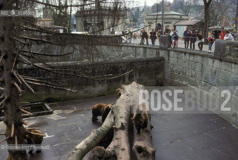 ( SVIZZERA CONFEDERAZIONE ELVETICA  ) BERNA : LA FOSSA DELLORSO © 1995 Graziano Arici/Rosebud2 / GEO