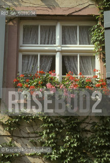 ( SVIZZERA CONFEDERAZIONE ELVETICA  ) BASILEA :  CASE DEL CENTRO STORICO   © 1995 Graziano Arici/Rosebud2 / GEO FINESTRA FIORE