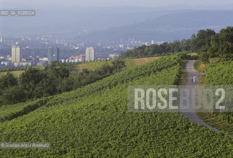 ( SVIZZERA CONFEDERAZIONE ELVETICA  ) BASILEA :  VIGNETI SULLE COLLINE ATTORNO ALLA CITTA © 1995 Graziano Arici/Rosebud2 / GEO VINO