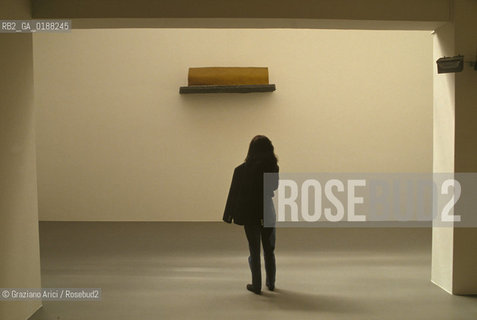 ( SVIZZERA CONFEDERAZIONE ELVETICA  ) BASILEA :  GALLERIA DARTE CONTEMPORANEA © 1995 Graziano Arici/Rosebud2 / GEO