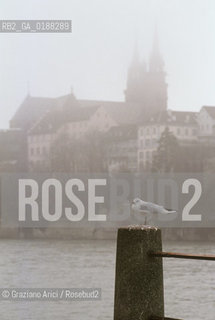 ( SVIZZERA CONFEDERAZIONE ELVETICA  ) BASILEA : IL FIUME RENO    © 1995 Graziano Arici/Rosebud2 / GEO GABBIANO