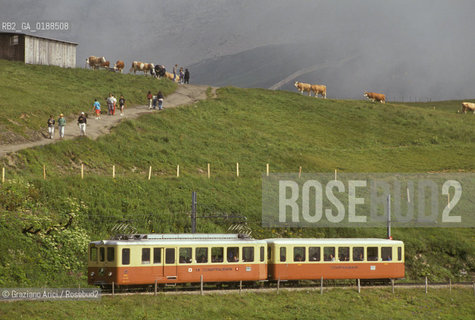( SVIZZERA CONFEDERAZIONE ELVETICA  ) CANTONE DI BERNA  FERROVIA DELLO JUNGFRAU   © 1995 Graziano Arici/Rosebud2 / GEO