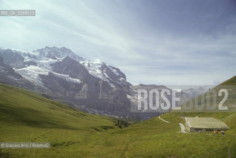( SVIZZERA CONFEDERAZIONE ELVETICA  ) CANTONE DI BERNA  ALPEGGI JUNGFRAUJOCH   © 1995 Graziano Arici/Rosebud2 / GEO MONTAGNA