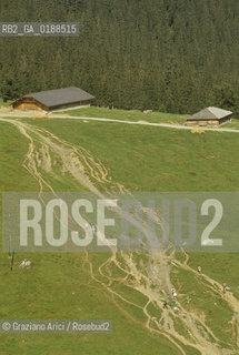 ( SVIZZERA CONFEDERAZIONE ELVETICA  ) CANTONE DI BERNA  ALPEGGI DEL JUNGFRAUJOCH   © 1995 Graziano Arici/Rosebud2 / MONTAGNA
