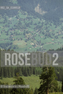 ( SVIZZERA CONFEDERAZIONE ELVETICA  ) CANTONE DI BERNA  ALPEGGI DELLO JUNGFRAU   © 1995 Graziano Arici/Rosebud2 / GEO MONTAGNA