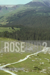 ( SVIZZERA CONFEDERAZIONE ELVETICA  ) CANTONE DI BERNA  ALPEGGI DELLO JUNGFRAU   © 1995 Graziano Arici/Rosebud2 / GEO MONTAGNA