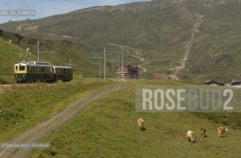 ( SVIZZERA CONFEDERAZIONE ELVETICA  ) CANTONE DI BERNA  FERROVIA DELLO JUNGFRAU   © 1995 Graziano Arici/Rosebud2 / GEO MUCCA