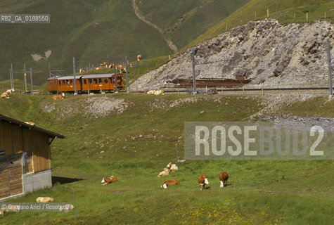 ( SVIZZERA CONFEDERAZIONE ELVETICA  ) CANTONE DI BERNA  FERROVIA DELLO JUNGFRAU   © 1995 Graziano Arici/Rosebud2 / GEO