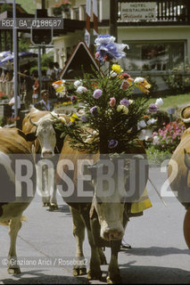 ( SVIZZERA CONFEDERAZIONE ELVETICA  ) CANTONE DI VAUD  VILLAGGIO DI LES AVANTS :FESTA DI PAESE E MUCCA   © 1995 Graziano Arici/Rosebud2 / GEO
