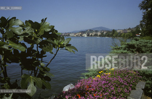 ( SVIZZERA CONFEDERAZIONE ELVETICA  ) CANTONE DI VAUD MONTREUX : IL LAGO DI GINEVRA    © 1995 Graziano Arici/Rosebud2 / GEO