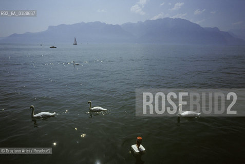 ( SVIZZERA CONFEDERAZIONE ELVETICA  ) CANTONE DI VAUD MONTREUX : IL LAGO DI GINEVRA   © 1995 Graziano Arici/Rosebud2 / GEO