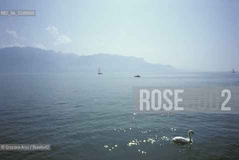 ( SVIZZERA CONFEDERAZIONE ELVETICA  ) CANTONE DI VAUD MONTREUX : IL LAGO DI GINEVRA   © 1995 Graziano Arici/Rosebud2 / GEO