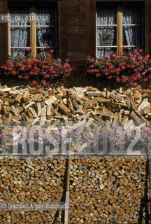 ( SVIZZERA CONFEDERAZIONE ELVETICA  ) CANTONE DI ZURIGO VALLE DELLEMMENTHAL : CASA IN LEGNO  © 1995 Graziano Arici/Rosebud2 / GEO FINESTRA