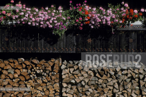 ( SVIZZERA CONFEDERAZIONE ELVETICA  ) CANTONE DI ZURIGO VALLE DELLEMMENTHAL : CASA IN LEGNO  © 1995 Graziano Arici/Rosebud2 / GEO FIORE