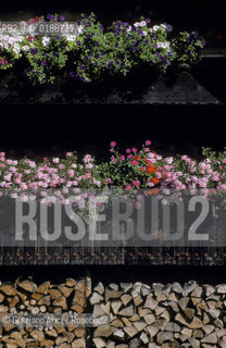 ( SVIZZERA CONFEDERAZIONE ELVETICA  ) CANTONE DI ZURIGO VALLE DELLEMMENTHAL : CASA IN LEGNO  © 1995 Graziano Arici/Rosebud2 / GEO FIORE