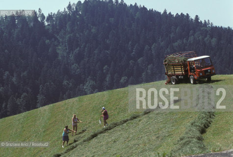( SVIZZERA CONFEDERAZIONE ELVETICA  ) CANTONE DI ZURIGO VALLE DELLEMMENTHAL : LAVORO IN CAMPAGNA  © 1995 Graziano Arici/Rosebud2 / GEO