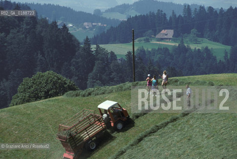 ( SVIZZERA CONFEDERAZIONE ELVETICA  ) CANTONE DI ZURIGO VALLE DELLEMMENTHAL : LAVORO IN CAMPAGNA  © 1995 Graziano Arici/Rosebud2 / GEO