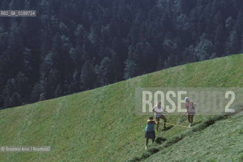 ( SVIZZERA CONFEDERAZIONE ELVETICA  ) CANTONE DI ZURIGO VALLE DELLEMMENTHAL : LAVORO IN CAMPAGNA  © 1995 Graziano Arici/Rosebud2 / GEO