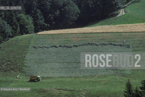 ( SVIZZERA CONFEDERAZIONE ELVETICA  ) CANTONE DI ZURIGO VALLE DELLEMMENTHAL : LAVORO IN CAMPAGNA  © 1995 Graziano Arici/Rosebud2 / GEO