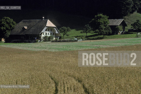 ( SVIZZERA CONFEDERAZIONE ELVETICA  ) CANTONE DI ZURIGO VALLE DELLEMMENTHAL : CASA IN LEGNO  © 1995 Graziano Arici/Rosebud2 / GEO
