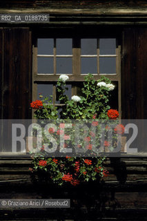 ( SVIZZERA CONFEDERAZIONE ELVETICA  ) CANTONE DI ZURIGO VALLE DELLEMMENTHAL : CASA IN LEGNO  © 1995 Graziano Arici/Rosebud2 / GEO FINESTRA FIORE